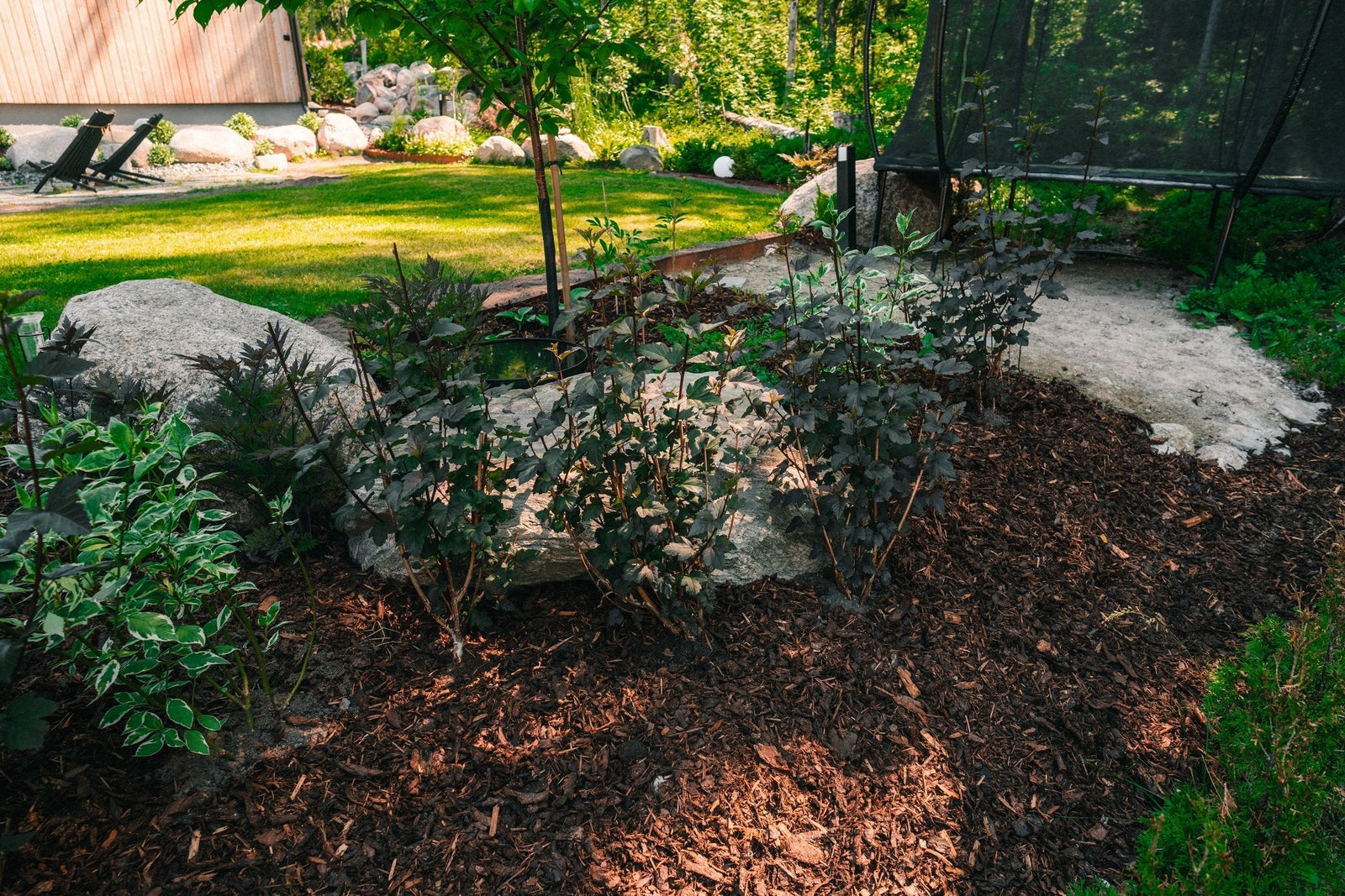 Kuorikate Torpanpihalta – tutustu kuorikatteen valikoimaan ja noutovaihtoehtoihin