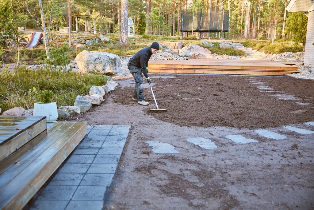 Nurmikon perustaminen