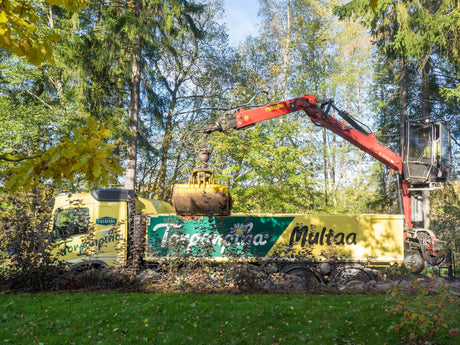 Metsäisen puutarhan viimeinen silaus kuorikatteella