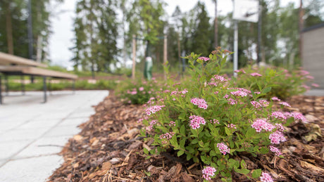 Mihin ja miten kuorikatetta käytetään?