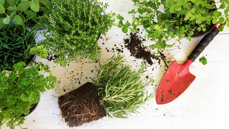 Mullan valinta – näin löydät oikean mullan pihaan, puutarhaan ja kasvimaalle!